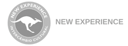 icone NE 250x90